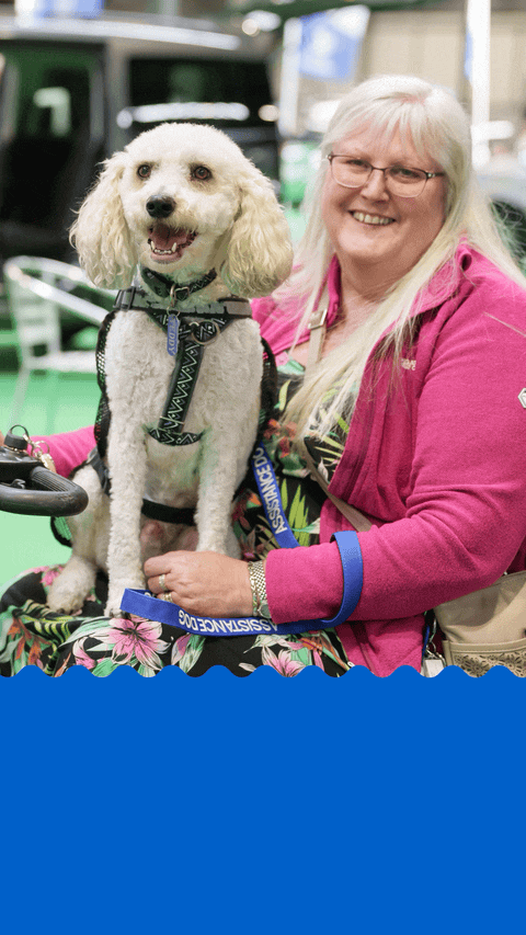 Motability banner ad